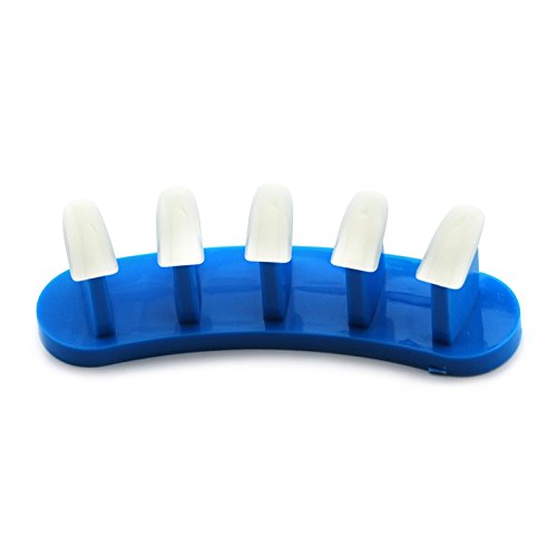 KADS 3pcs/set Plastic Tip Stand for Practice Use Practice Training Nail Art False Tips Display Training Tool